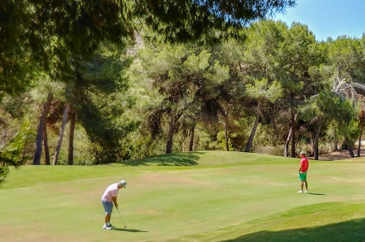 La Alineación en el Golpe de Golf