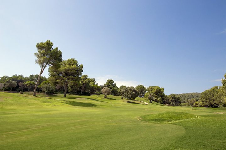 Estado actual del campo en Golf Ibiza