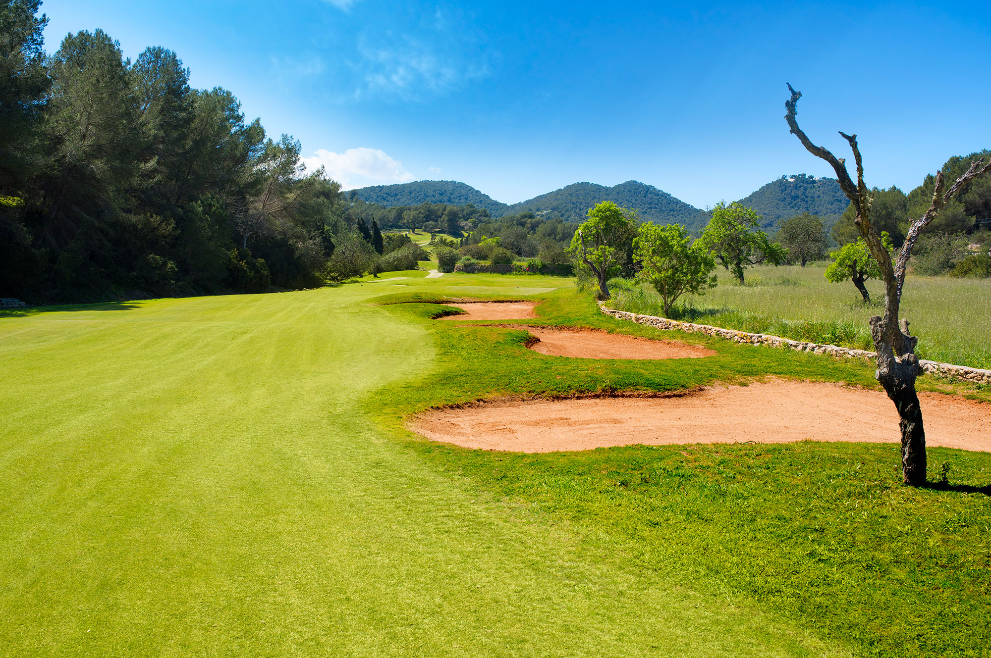 GOLF 15th HOLEAmazon River GOLF